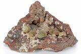 Gemmy Austinite Crystals on Matrix - Ojuela Mine, Mexico #219841-1